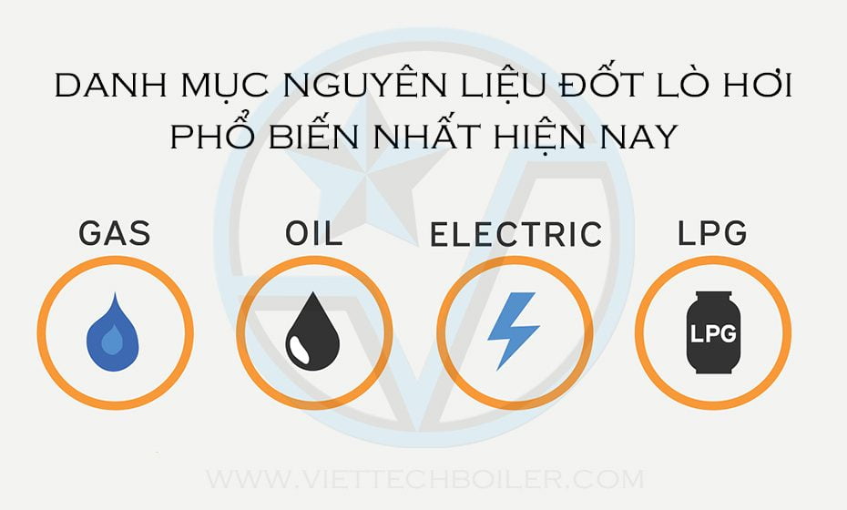 Danh mục nguyên liệu đốt lò hơi phổ biến nhất