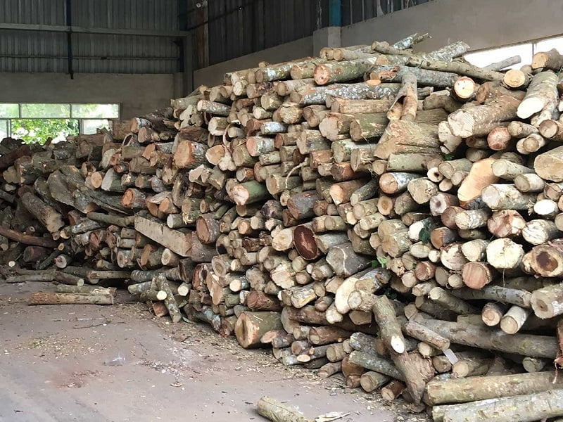 Nguyên liệu đốt chính của Lò hơi đốt củi là củi cây tự nhiên