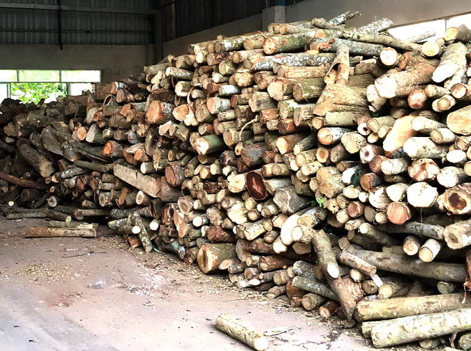 Nguyên liệu đốt lò hơi - nồi hơi phổ biến nhất năm 2021