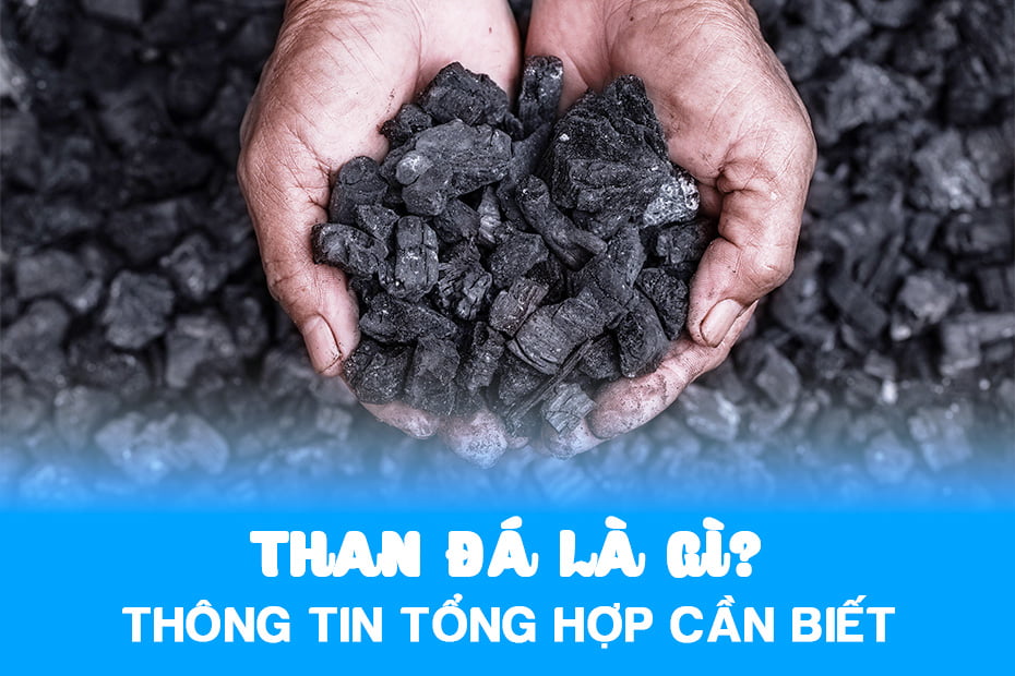 Than đá là gì? Tính chất và Vai trò của than đá trong cuộc sống