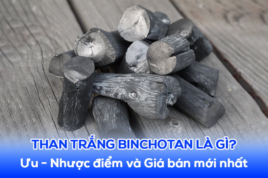 Than Trắng Binchotan là gì? Ưu điểm và Giá bán mới nhất