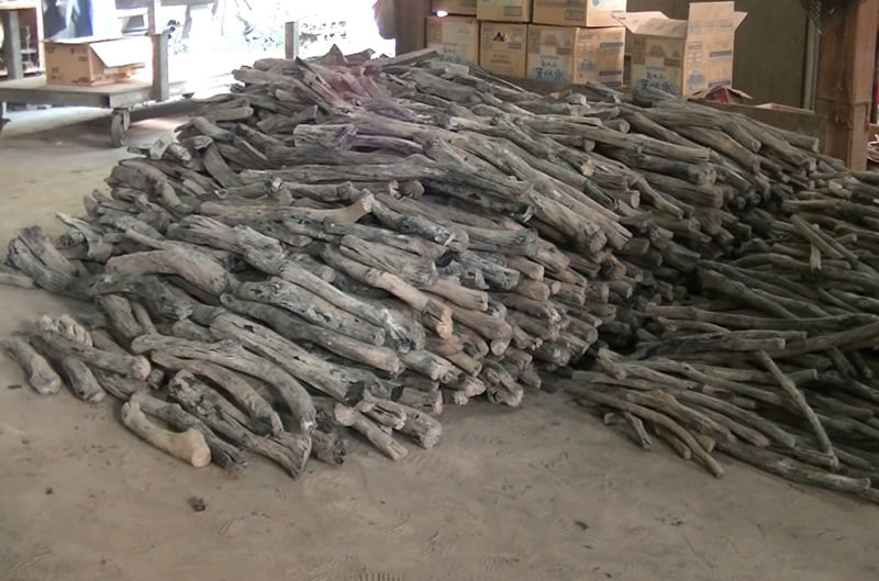 Than Trắng Binchotan là gì